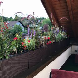 Ferienhaus Zirbe | Rickenbach-Egg im Hotzenwald:  Obergeschoss - Überdachter West-Balkon